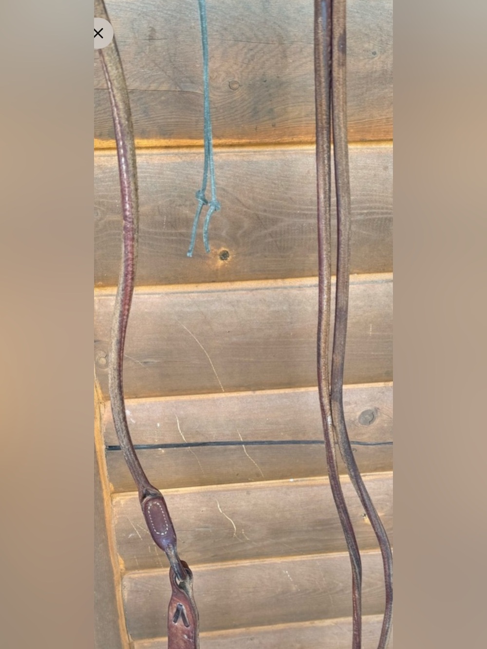 Shultz Romel reins